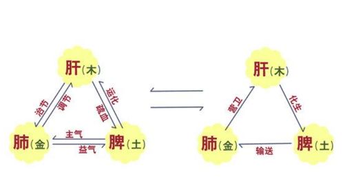 如何根据命格判断日柱地支是喜是忌？