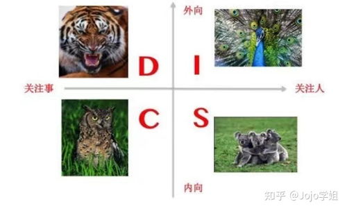 PDP职业性格测试20题答案是什么？