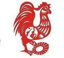 十二生肖合双合单号码中，单代表哪个生肖？