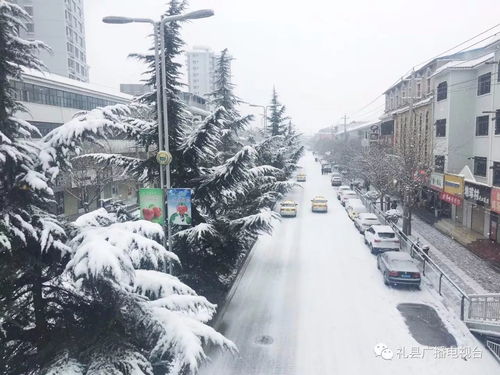 一、初雪！真的下雪啦！瓦屋山瞬间变身冰雪奇缘
