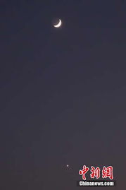 八字中金星能如何运用？金星伴月天象有何影响？