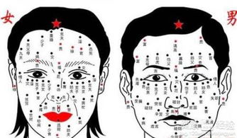 腋下与锁骨：社交魅力与情感保护欲的双重体现