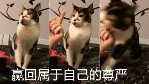 常见凶梦解析