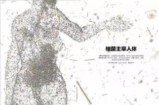 一、 西方占星学中的呼吸象征及其人格映射