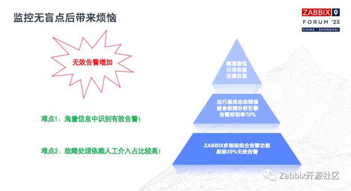 实践案例：从实际操作中汲取启示并进行理论升华