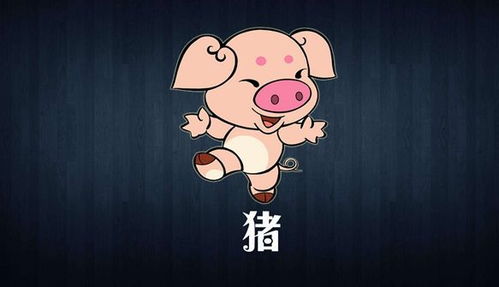 事业方向：挑战与机遇并存