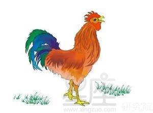 2020年属鸡的吉凶方位及发展方位分别是什么？