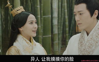 一、 镜中鬼影：神秘意象的文化溯源