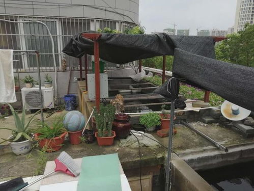 养殖厂风水有哪些忌讳？屋顶风水有哪些大忌？