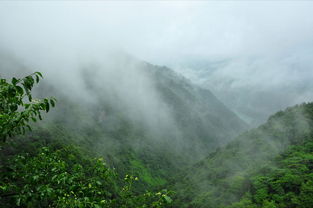遂宁到重庆十溪口， 一场说走就走的烂漫之旅