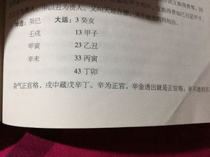 辰支半会水局：格局走向与调候策略