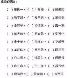 2.2 奇葩混搭专区（噪音特供）