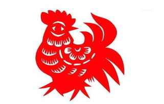 探究方法概述