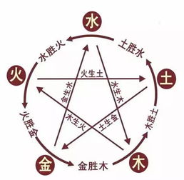 生肖与五行相生相克对财运的影响
