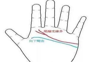手相中三条生命线者阝平行的情况，这是什么手相？