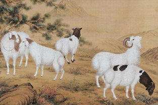 从容不迫的动物是哪种？