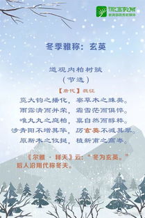 为什么要这么乱？主要原因是…