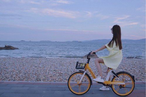 广州篇：忘掉“十较大景点”！2023年12月，我在老城区挖到3个“非主流灵魂”