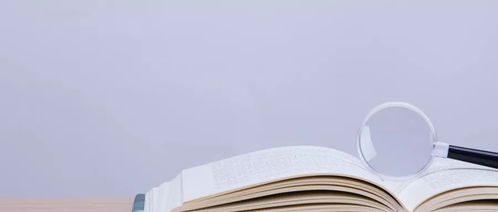 （一） 避免轻视性语言， 构建平等尊重的对话机制