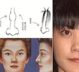 遗传因素与个体发育：解构形态成因