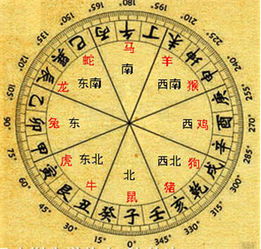 李居明十二生肖运势中，属相与风水运势具体指什么？