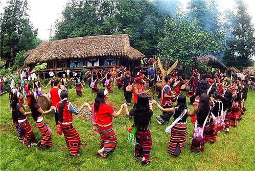 非物质文化遗产保护