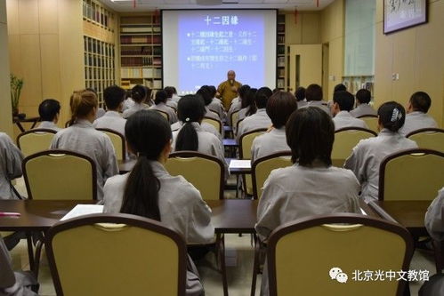 北京十日禅修活动的总体框架与功能定位