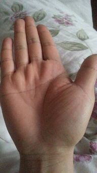 小孩手掌中哪条线是生命线？图片展示生命线位置图解？