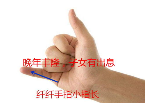 5. 小指：子女运势与智慧才华