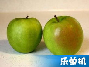 一、 上坟时机选择：天然规律与人文传统方式的交汇点