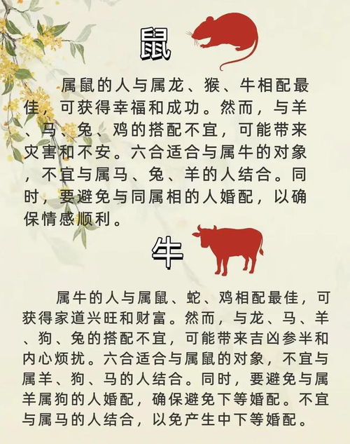 哪个生肖对应的是古代约法三章的典故？