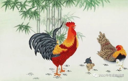 一、 整体运势概述