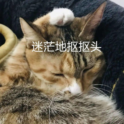 梦见全身被针扎满，这预示着什么？是吉是凶？