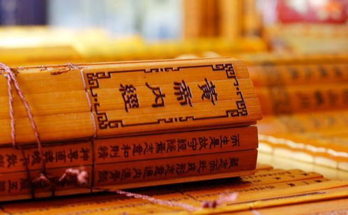 黄帝内经与四季养生