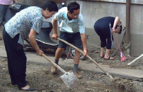 体力劳动者八字如何判断，适合吃什么补品增强体质？