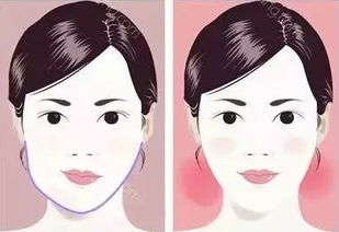 从表情习惯到静态特征：心理—生理交互机制探讨