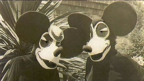 一、 研究背景与现象概述