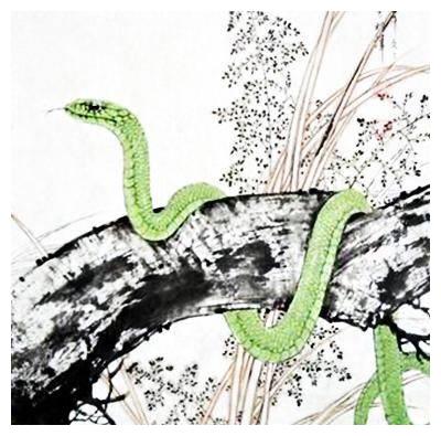 属蛇男性今日财运如何，其八字财运状况怎样？