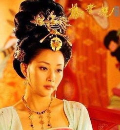二、 政治领域活动与子嗣命运