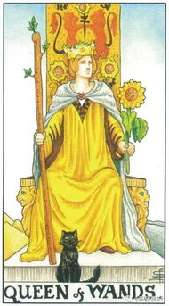 3. 摩羯座（Capricorn）——脚踏实地的持续性