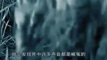 三、 月相周期与哭声规律性关联分析后来啊展示: