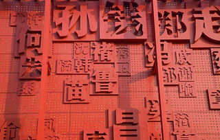 三、取名过程中的情绪波折与喜悦交织。