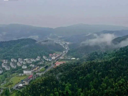 萍乡新世纪景区：一场充满惊喜与惊吓的奇幻之旅！