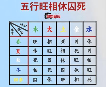 八字四柱中女性命格有龙，如何调整布局以提升运势？