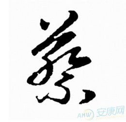 为蔡姓男孩取名：超良好听又独特的个性