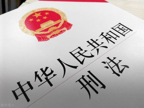 二、 法律制度法规视角下“溯及力”原则对传统方式文化底蕴干预效果之约束