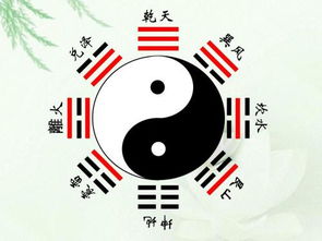 阴阳八卦中哪个生肖与之最为契合，被认为是八卦最正确的生肖？