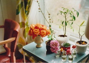 一、  五行生克制化下的色彩与方位选择机制