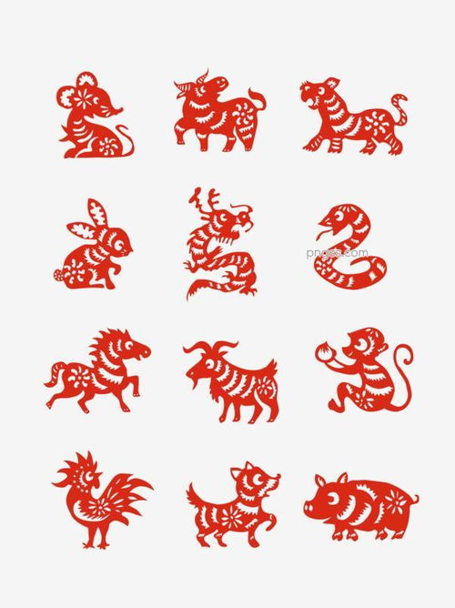 操刀必割，猜猜是哪个生肖动物尾巴特长？