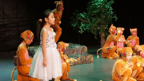 3. 双子座（风象）——沟通嫩力与协作精神